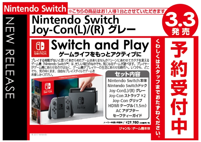 本体　Nintendo Switch Joy Con グレー