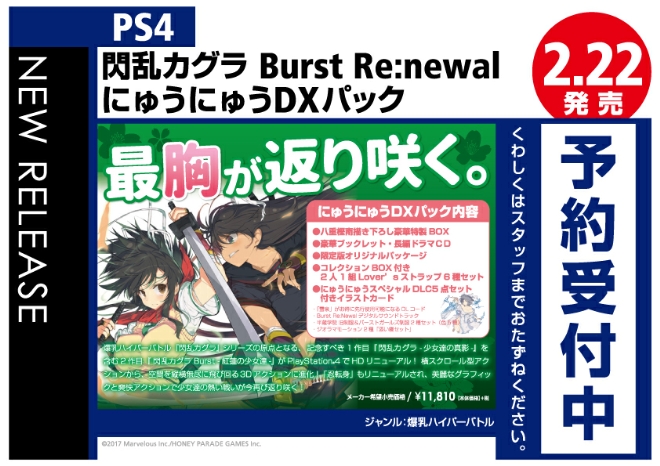 PS4　閃乱カグラ Burst-Re:Newal にゅうにゅうDXパック