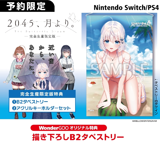 PS4／Nintendo Switch  2045､月より｡【オリ特】描き下ろしB2タペストリー