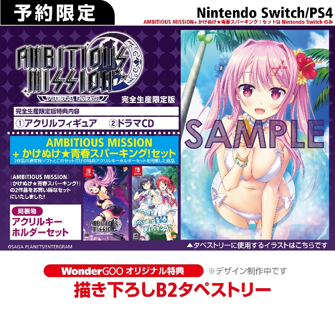 PS4／Nintendo Switch　AMBITIOUS MISSION【オリ特】描き下ろしB2タペストリー