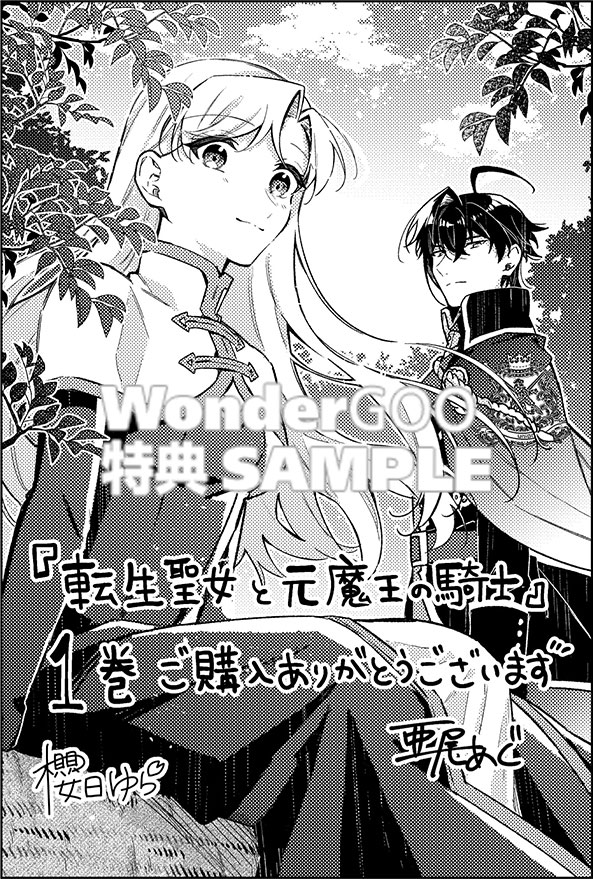 転生聖女と元魔王の騎士　１
