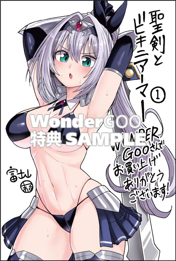 聖剣とビキニアーマー 1