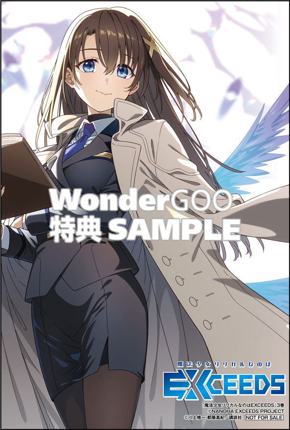 魔法少女リリカルなのはEXCEEDS(3)