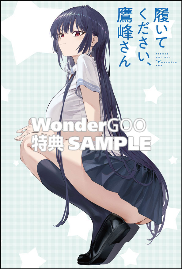 履いてください、鷹峰さん　11巻