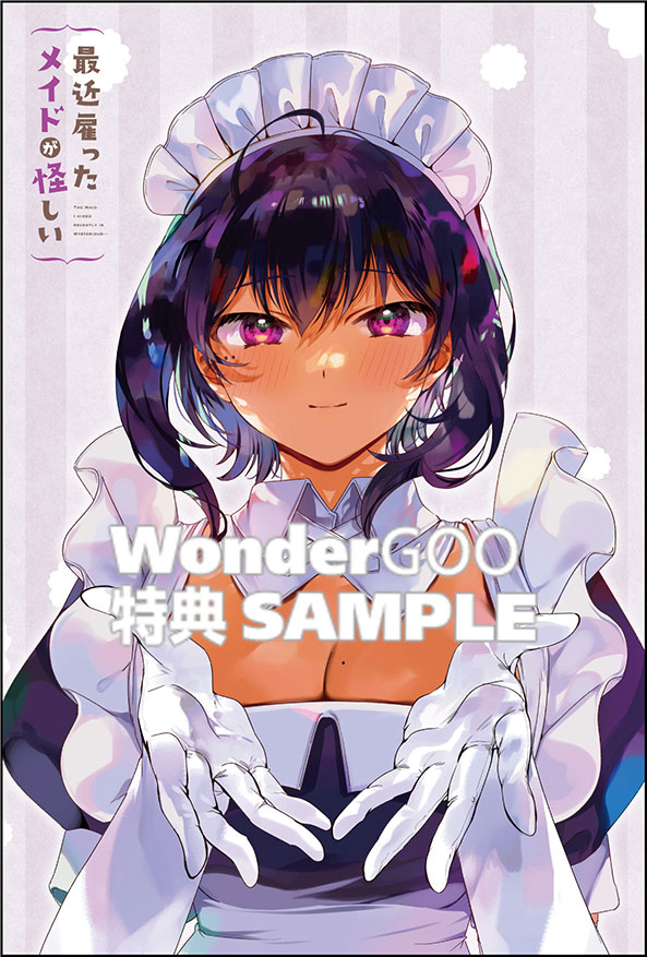 最近雇ったメイドが怪しい 8