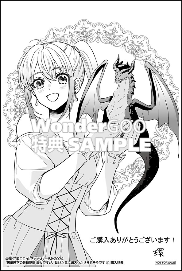 黒竜陛下の政略花嫁 魔女ですが、助けた竜に嫁入りさせられそうです　1巻