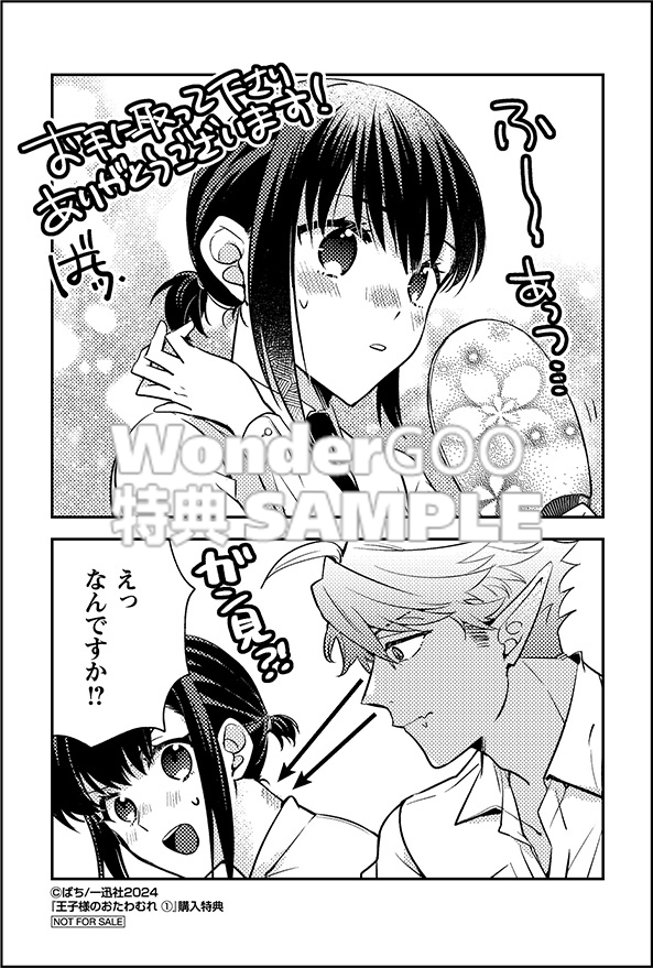 王子様のおたわむれ 1巻