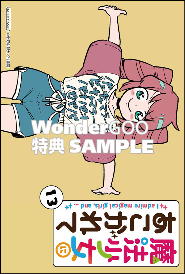 魔法少女にあこがれて13