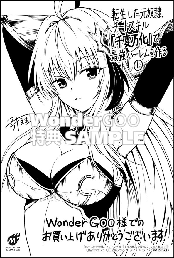 転生した元奴隷、チートスキル「千変万化」で最強ハーレムを作る 1