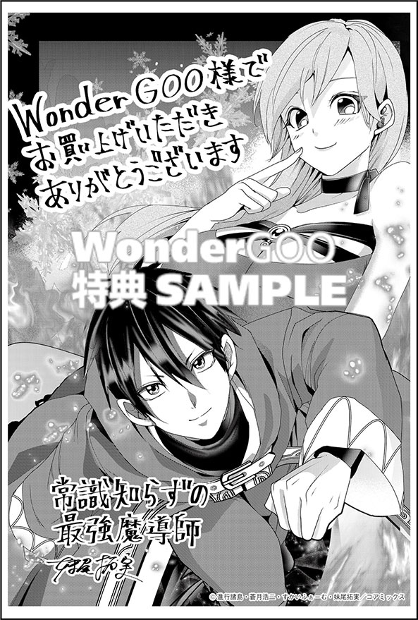常識知らずの最強魔導師 3